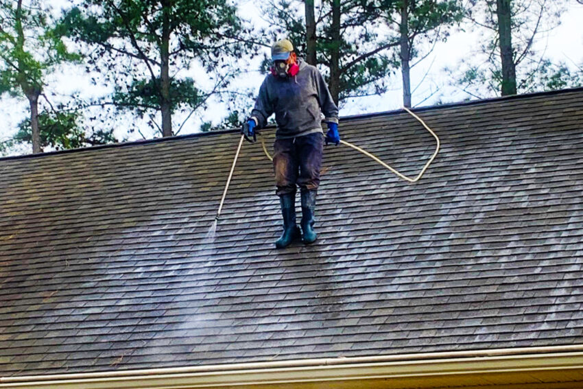 Roof Mold Treatment